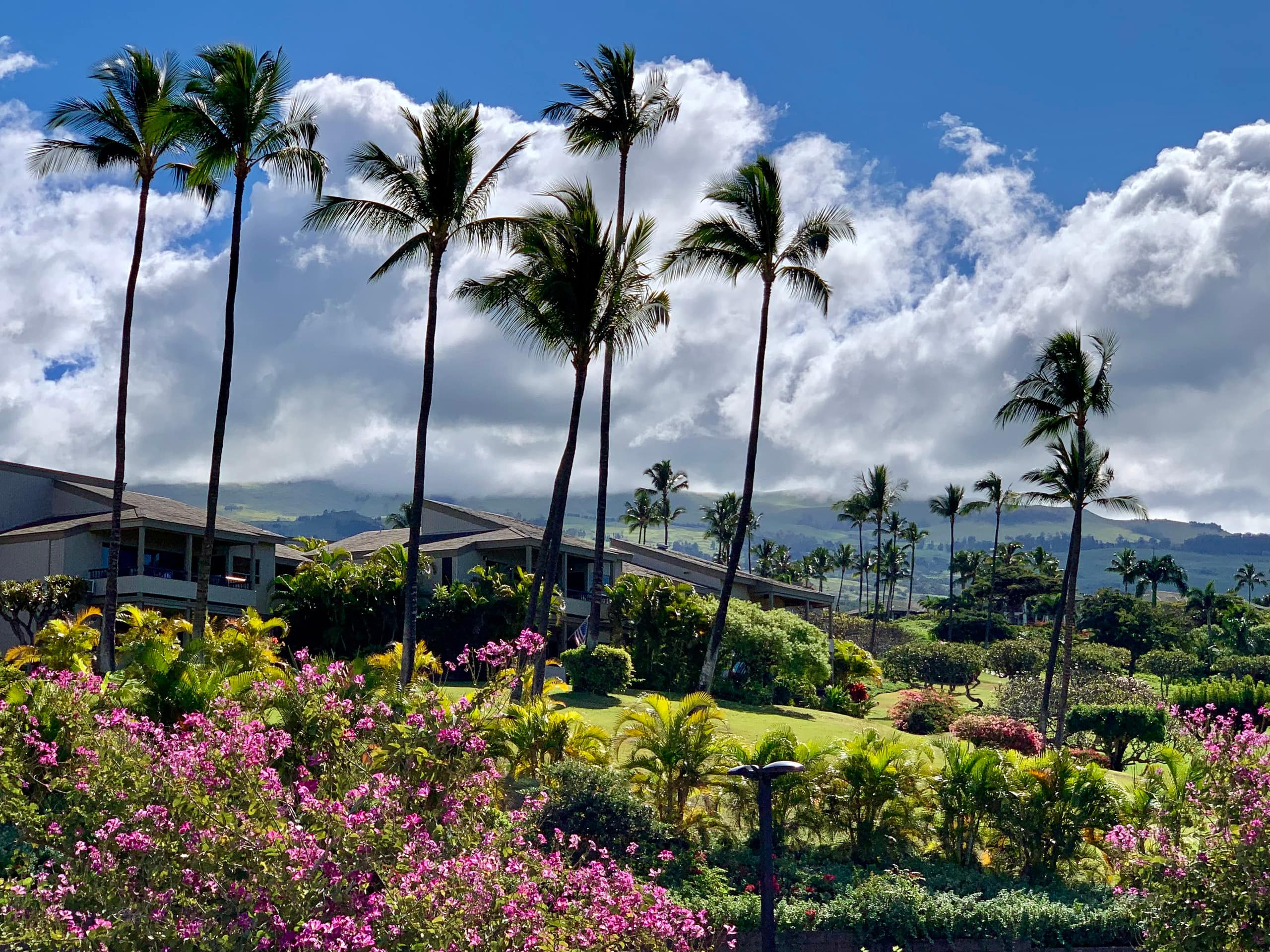 Condo in Wailea · ★4.88 · 2 bedrooms · 3 beds · 2 private baths - Image 30