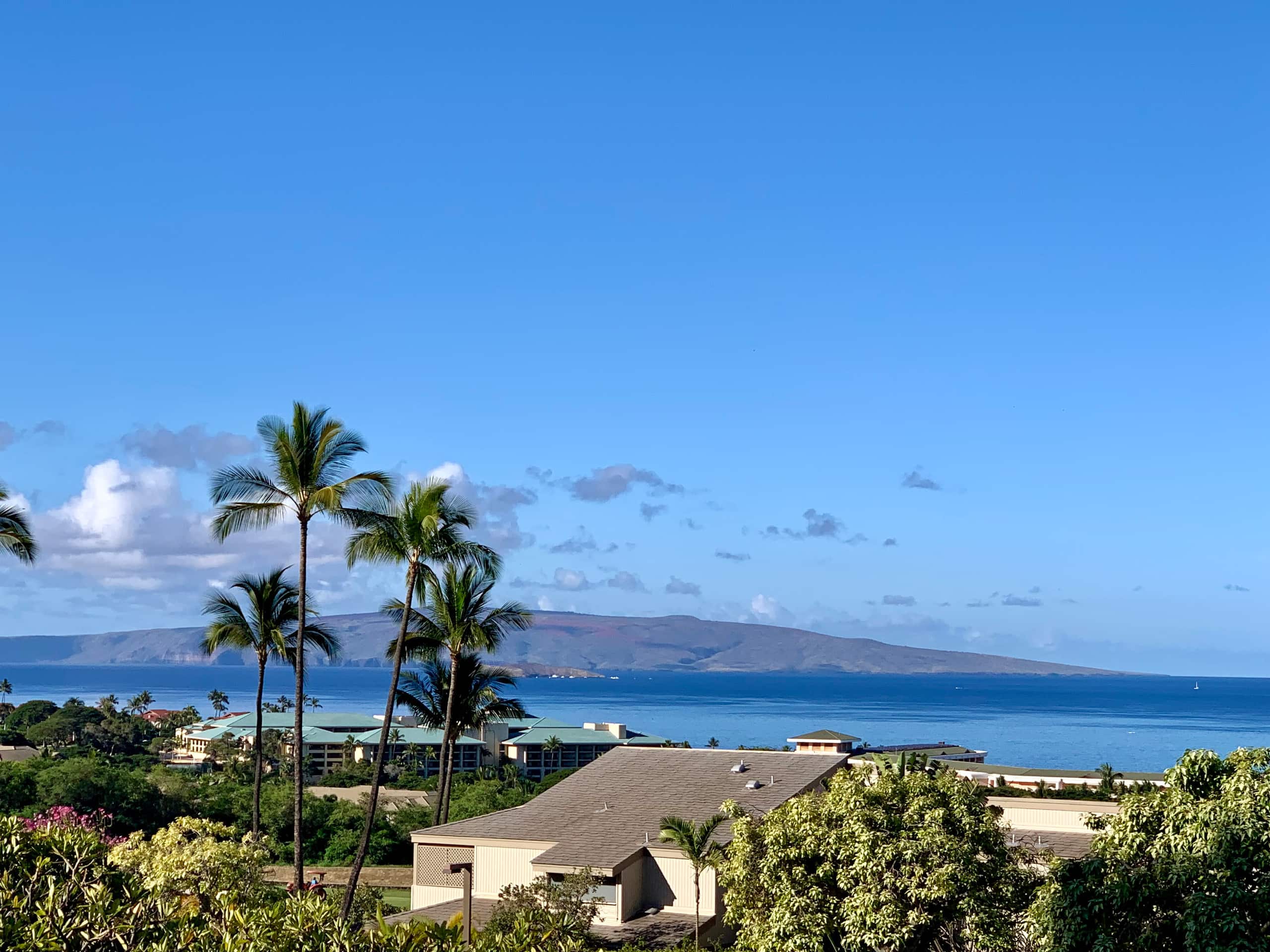 Condo in Wailea · ★4.88 · 2 bedrooms · 3 beds · 2 private baths - Image 1
