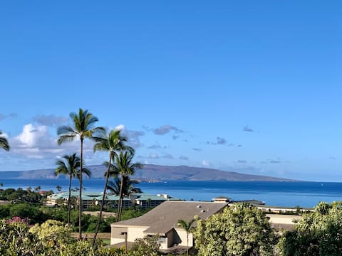 Wailea Ekolu 505, Ocean Views, New Furnishings