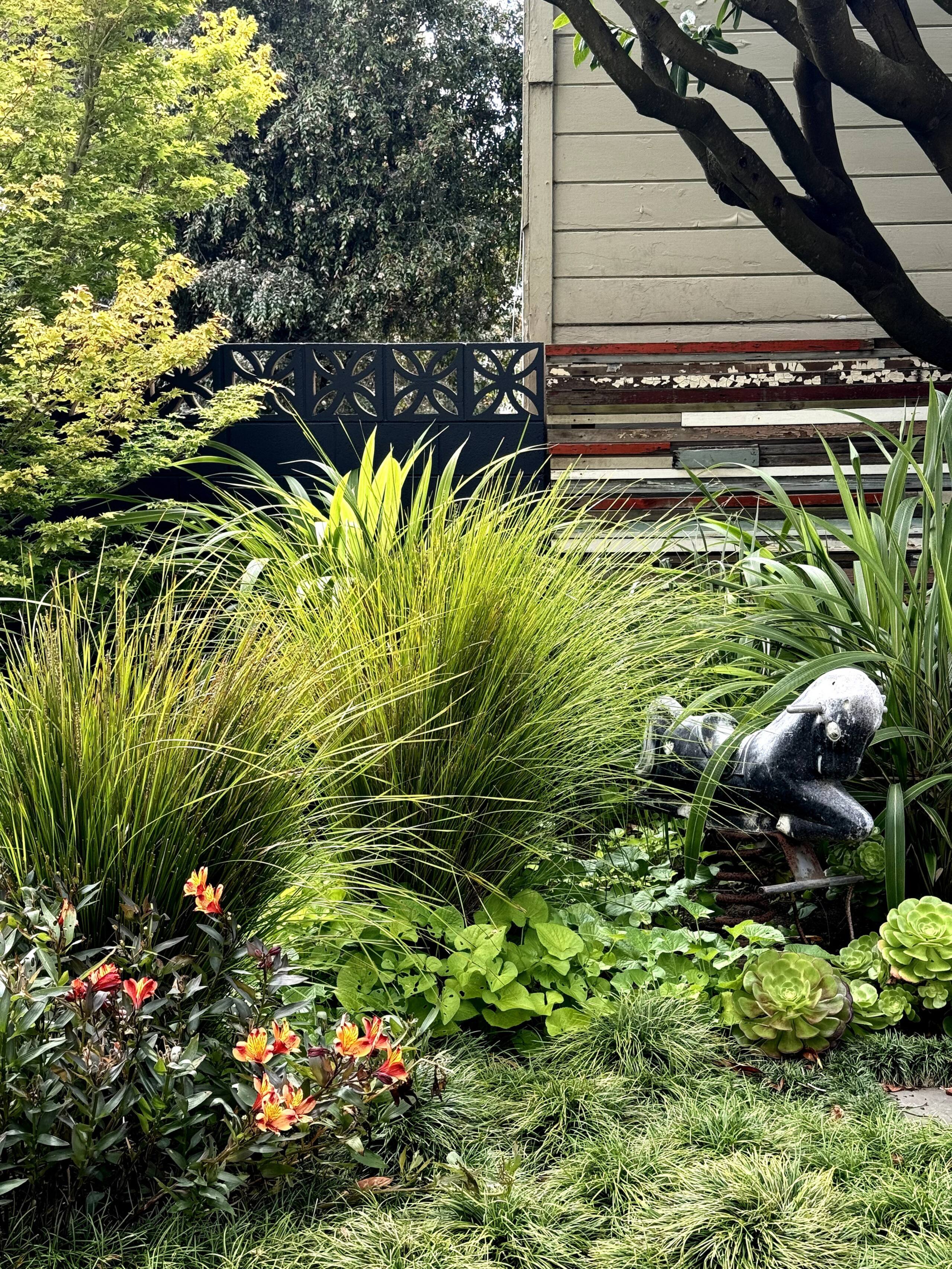Home in San Francisco · ★4.96 · 3 bedrooms · 3 beds · 2 baths - Image 48