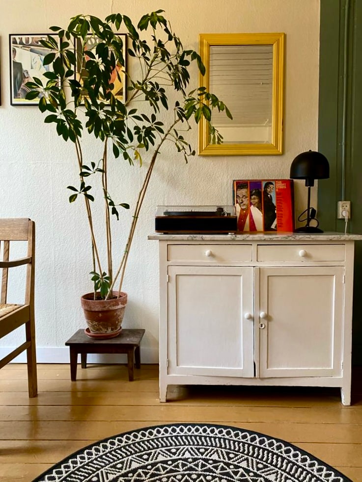 Top performing Airbnb: Gold Alley Apartment in Amsterdam