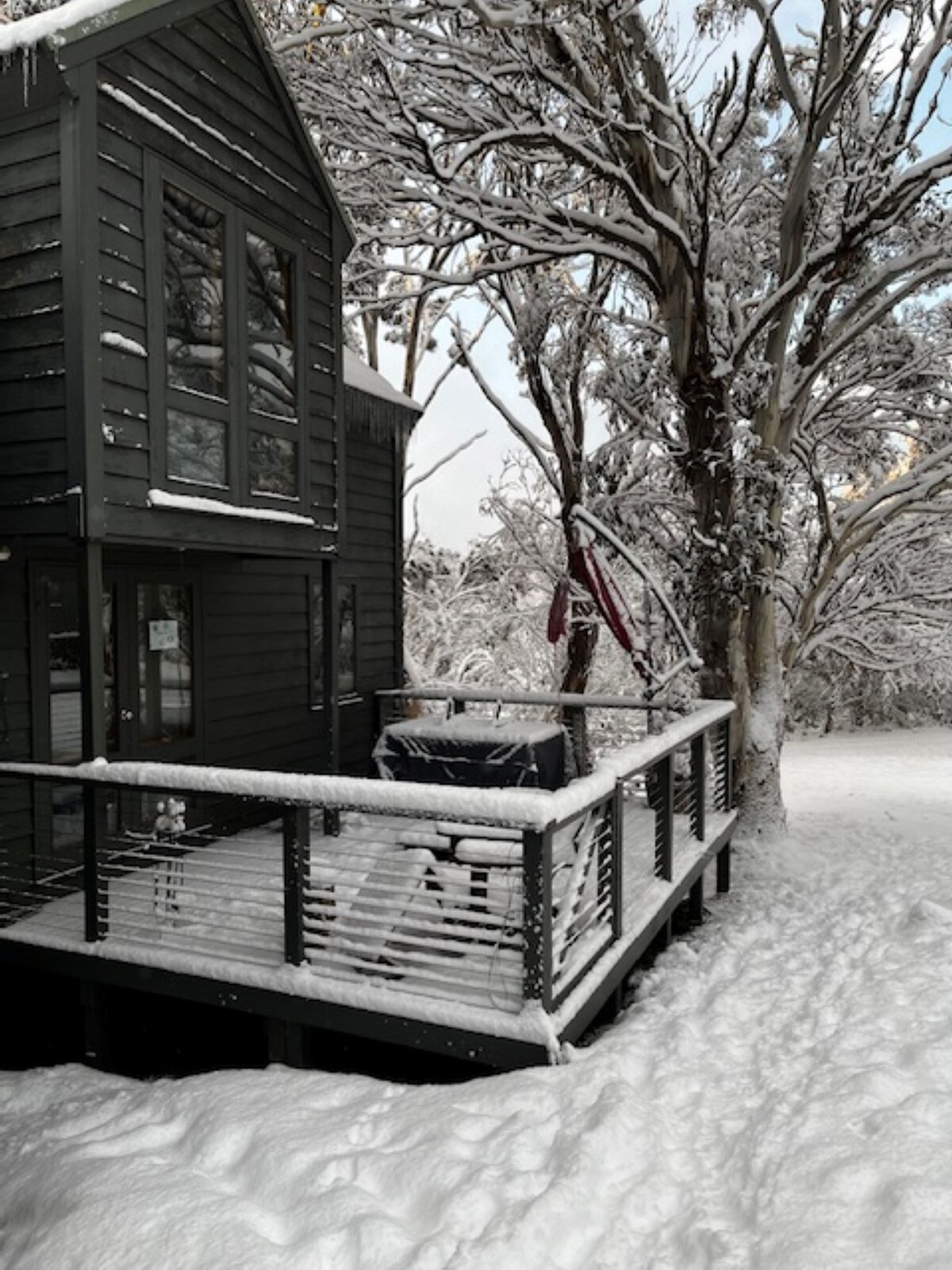 A dark wood chalet is seen with large windows reflecting the snowy surroundings. A deck with railings extends from the building, featuring a grill covered in snow. Trees with snow-laden branches frame the scene, creating a winter ambiance.
