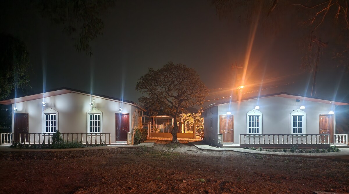 Two single-story houses are illuminated at night, showcasing well-lit entrances with wooden doors and windows. A large tree is positioned in the center of the image, adding a natural element to the setting. Clear pathways are visible leading to each house.