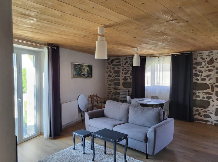 Logement De Charme De 55 M2 Avec Balcon - Haute-Loire