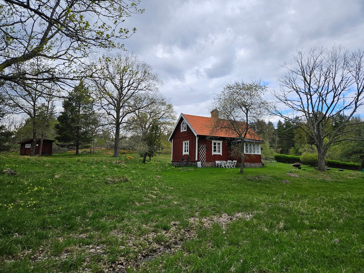 A quaint red cottage is surrounded by a lush green landscape, showcasing a mix of trees and wildflowers. Outdoor seating is visible in front of the cottage, providing a space to enjoy the tranquil views. The sky above features a soft gray hue, hinting at changing weather.