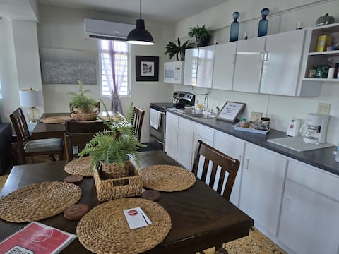Successful Airbnb property: Magnolia House across from Plaza Camuy for 8-9 guests. in Arecibo