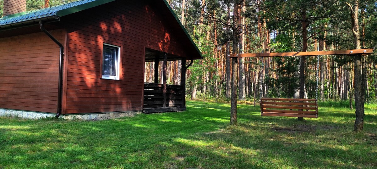 A wooden cabin features a covered porch framed by tall trees, offering a shaded retreat. A swinging bench hangs between two trees, inviting relaxation. The lawn is neatly kept, providing a natural setting for family gatherings.