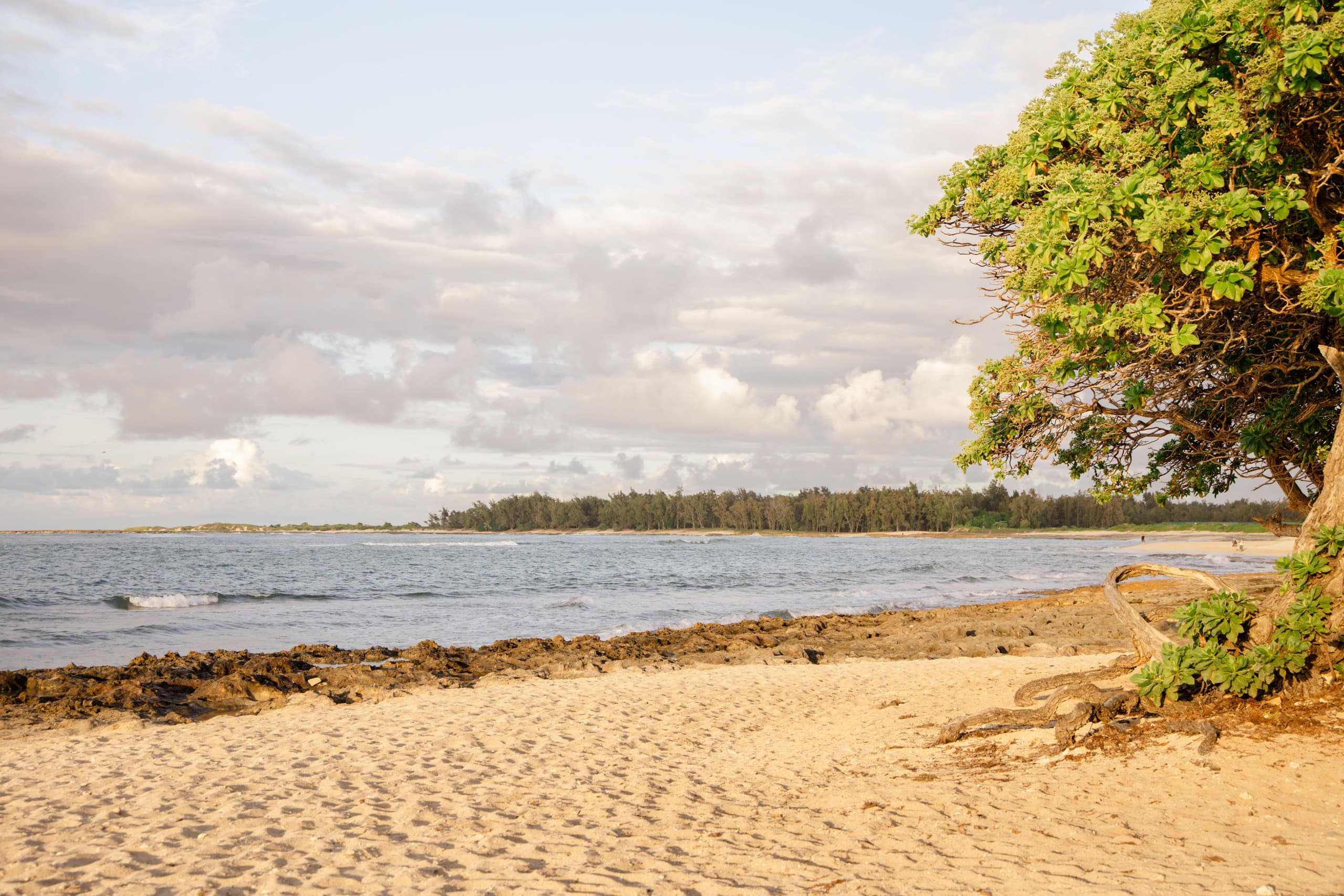Villa in Kahuku · ★4.9 · 4 bedrooms · 8 beds · 3 private baths - Image 128
