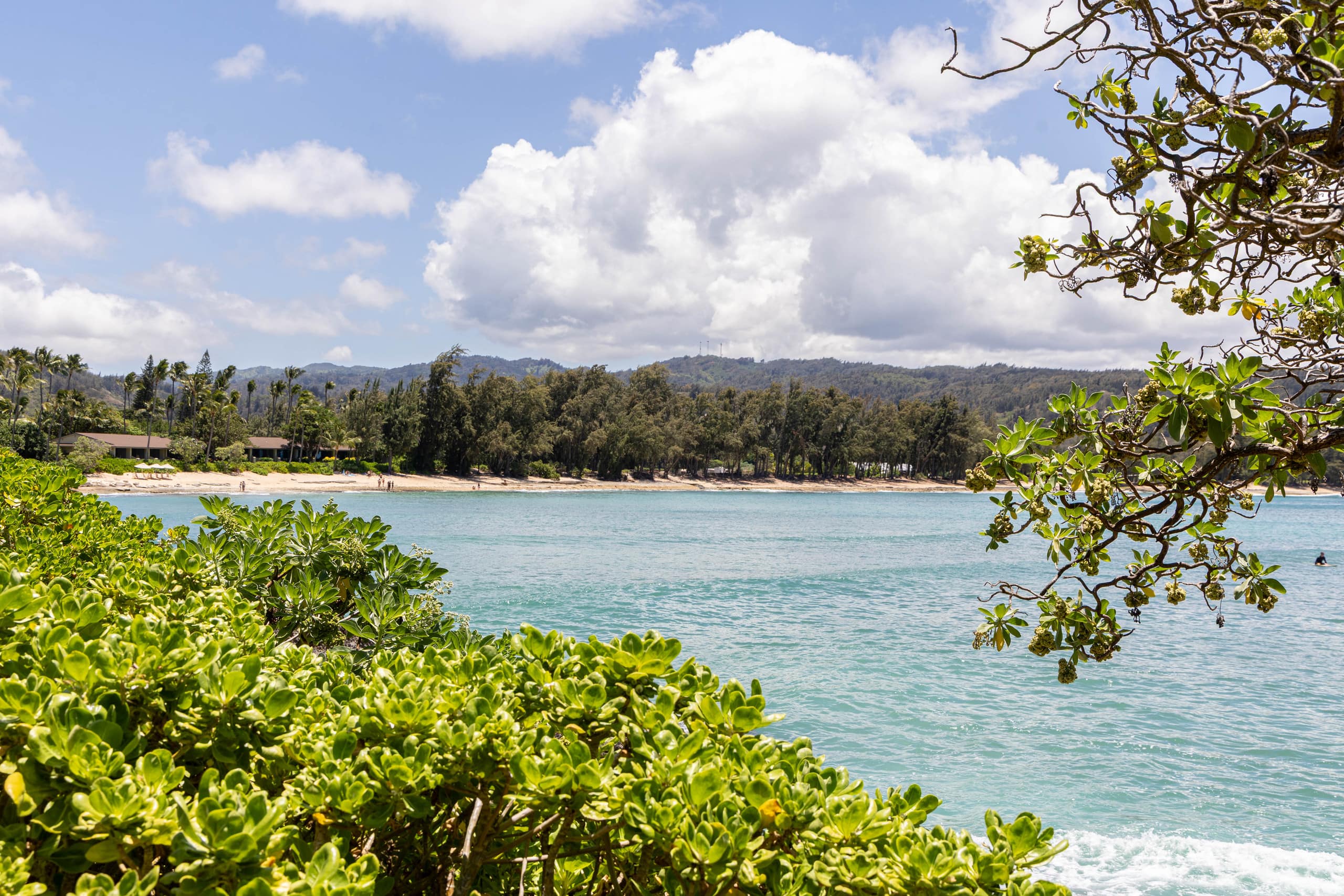 Villa in Kahuku · ★4.9 · 4 bedrooms · 8 beds · 3 private baths - Image 138