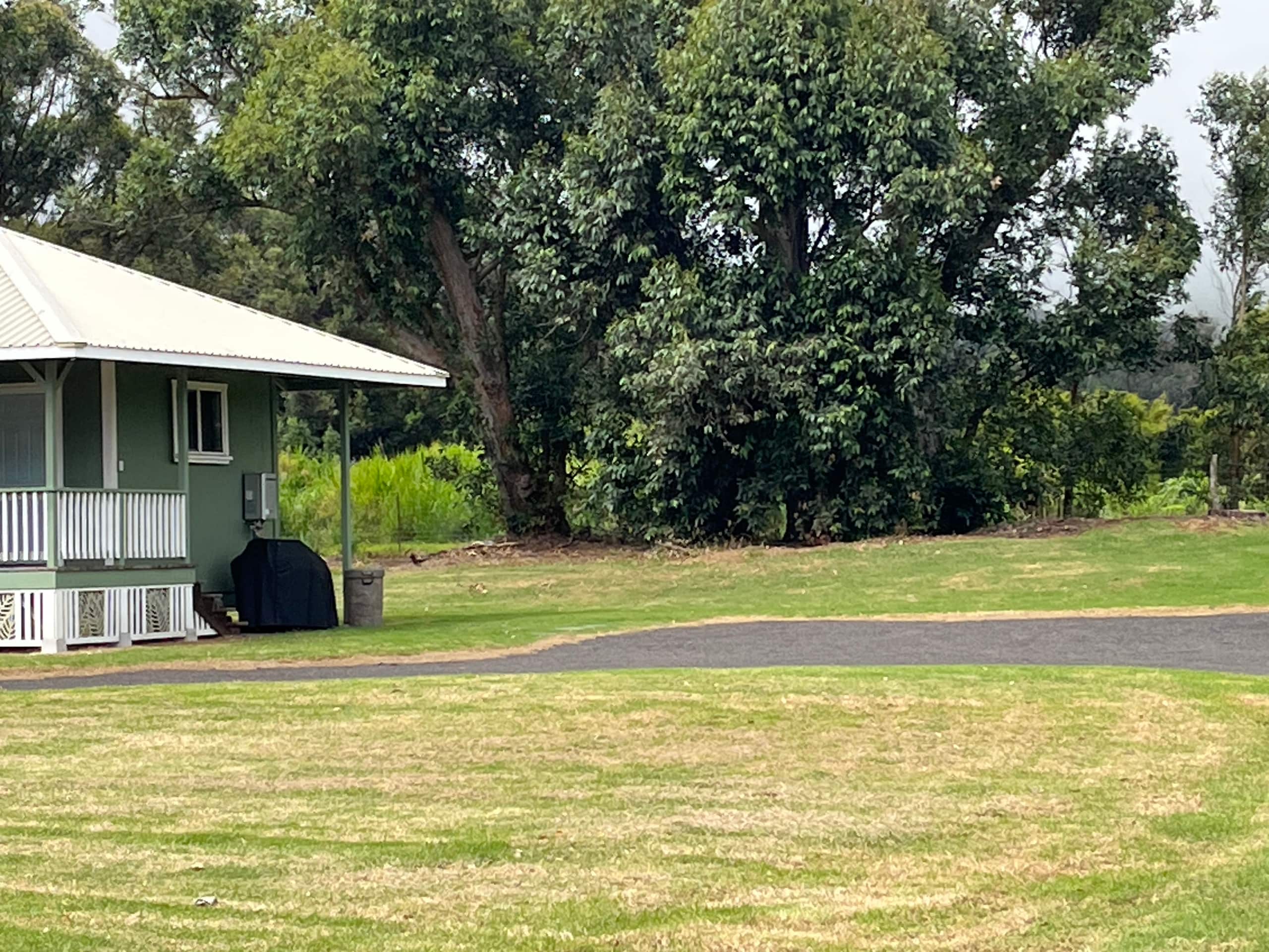 3 bedroom home on one acre in Waimea - Photo 32