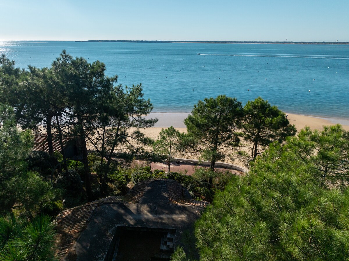A scenic view of tranquil waters and a sandy beach is framed by lush trees. The coastline is visible in the distance, reflecting sunlight, while a pathway leads from the greenery to the shore. The serene atmosphere invites relaxation by the water.