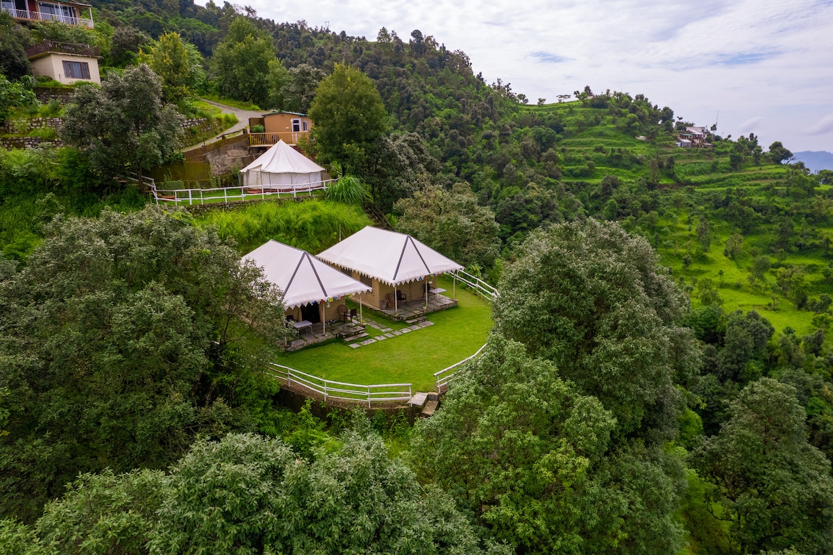Two well-appointed glamping tents are nestled on a lush hillside, surrounded by greenery. A spacious area is visible between the tents, featuring a manicured lawn and natural stone pathways. The tents are covered with white canopies, offering a peaceful blend of nature and comfort.