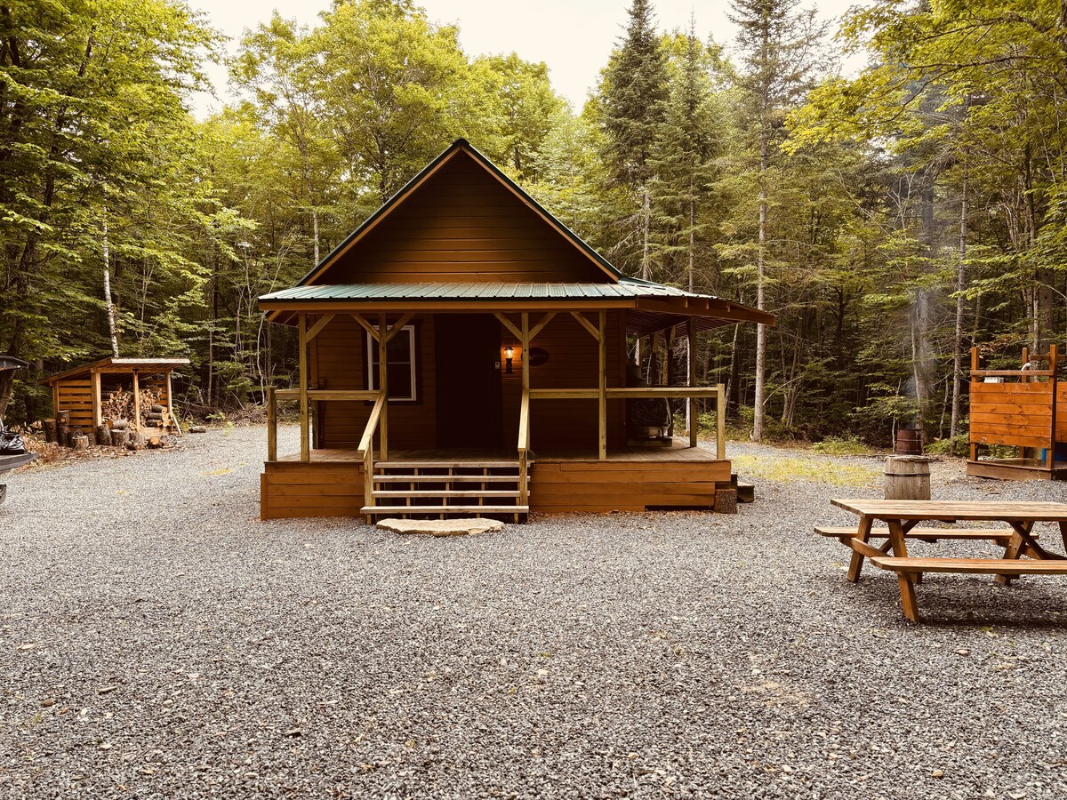 A rustic cabin is situated in a forested area, featuring a green metal roof and wooden siding. A porch provides a welcoming entrance, while a gravel area surrounds the cabin. Picnic tables and firewood storage are visible, blending into the natural landscape.
