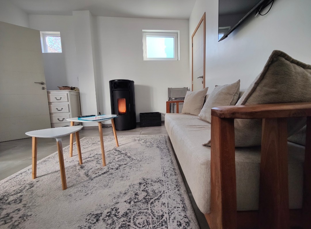 A modern living area features a comfortable sofa and two small tables. A pellet stove adds warmth to the space. Light enters through a small window, enhancing the neutral tones of the furnishings and decor, while an area rug provides a cozy touch.