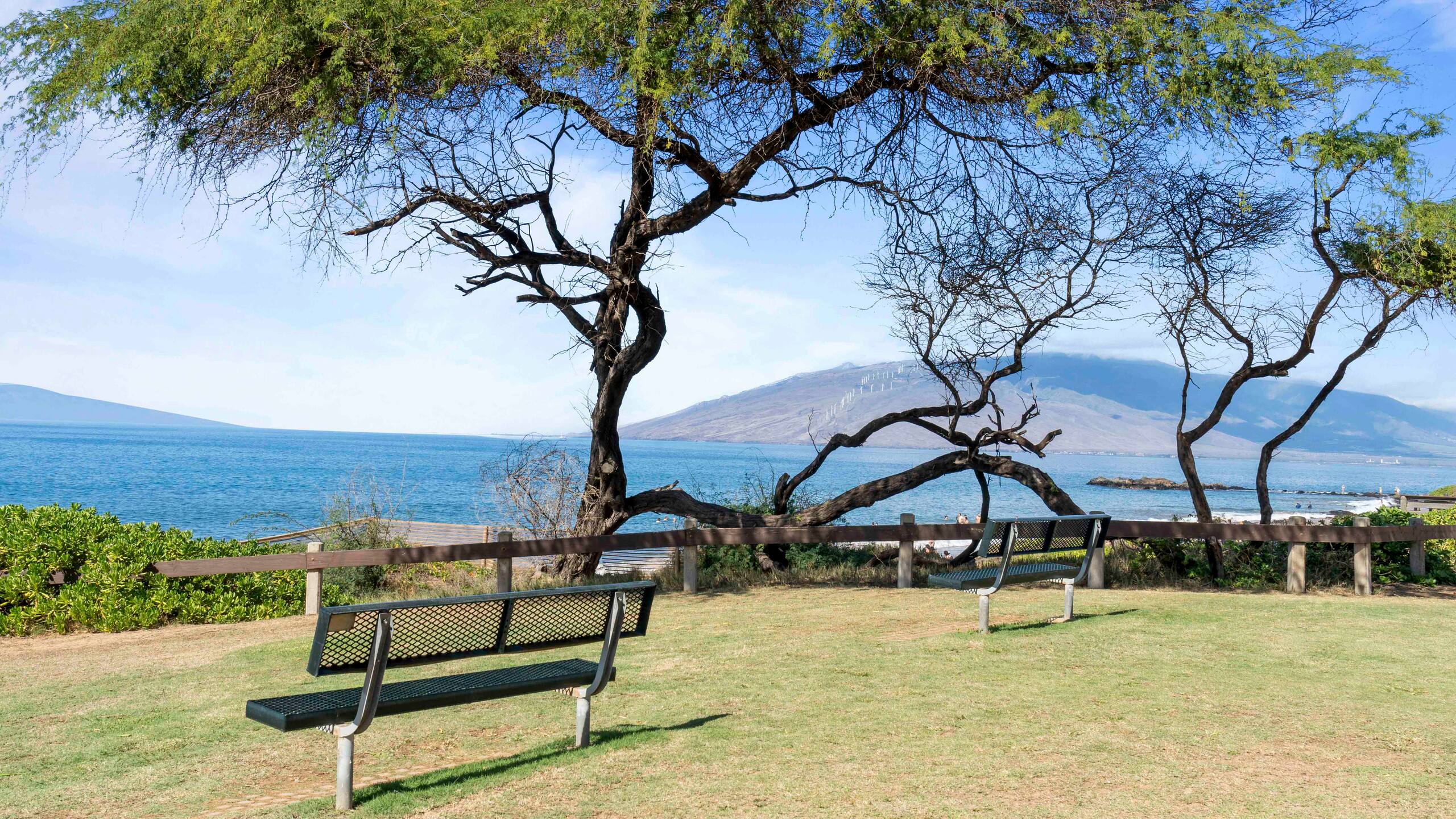 Home in Kihei · ★4.98 · 1 bedroom · 2 beds · 2 baths - Image 42