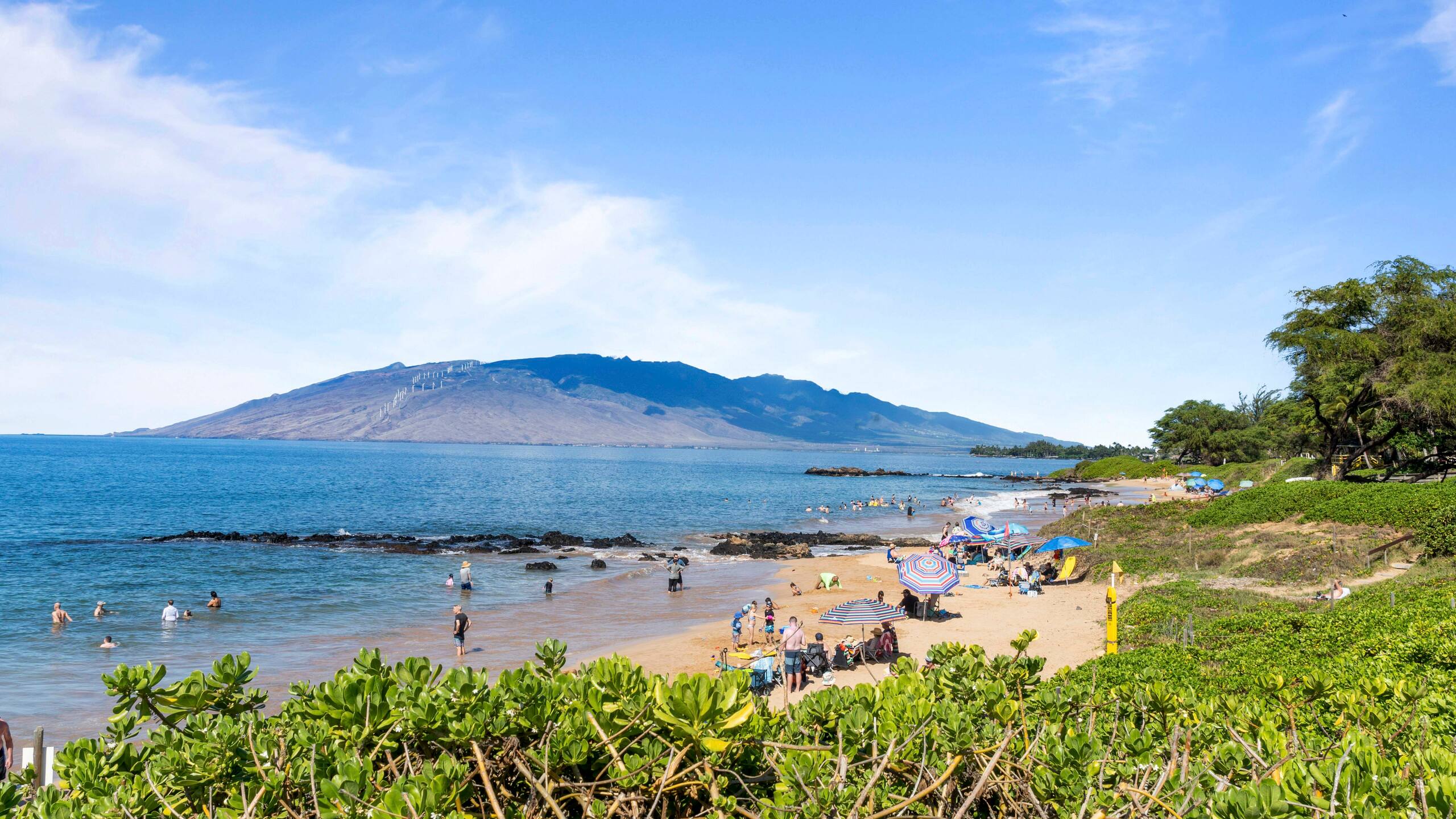 Home in Kihei · ★4.98 · 1 bedroom · 2 beds · 2 baths - Image 40