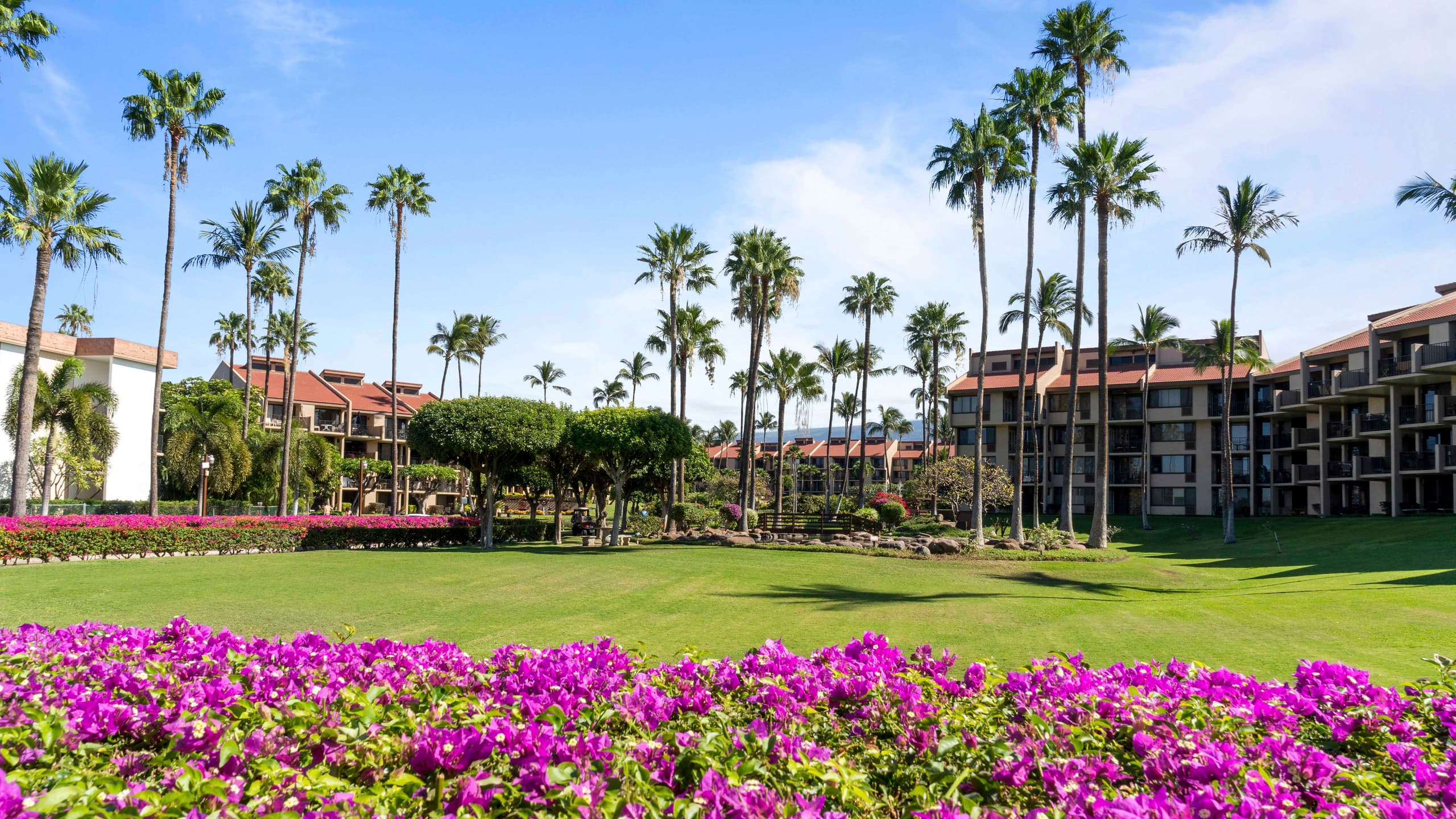 Home in Kihei · ★4.98 · 1 bedroom · 2 beds · 2 baths - Image 35