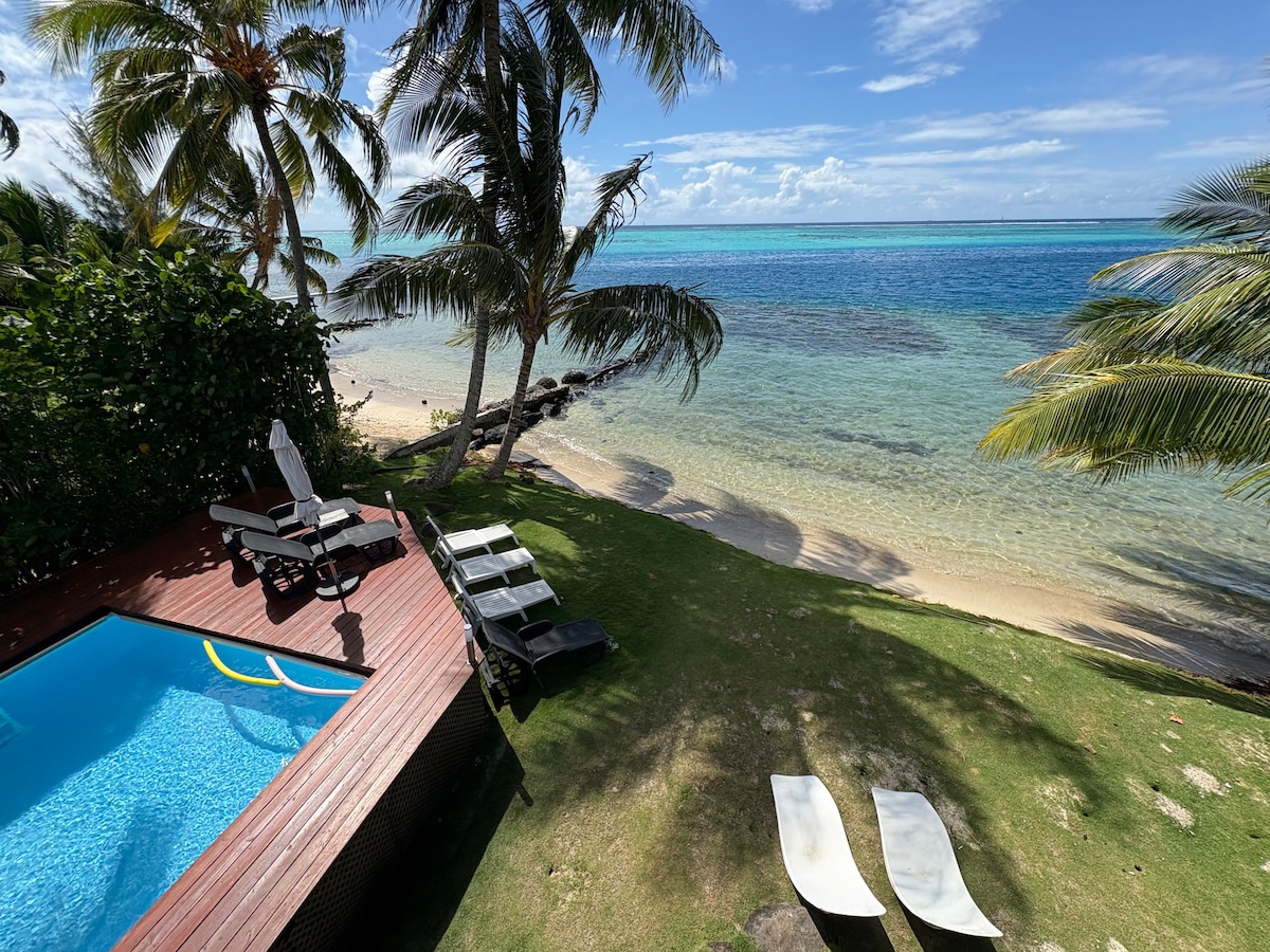 The image captures a private pool surrounded by a wooden deck and sun loungers. Lush greenery and palm trees frame the scene, with a clear view of the lagoon and sandy beach in the background. The tranquil aquatic hues exhibit the serene coastal environment.
