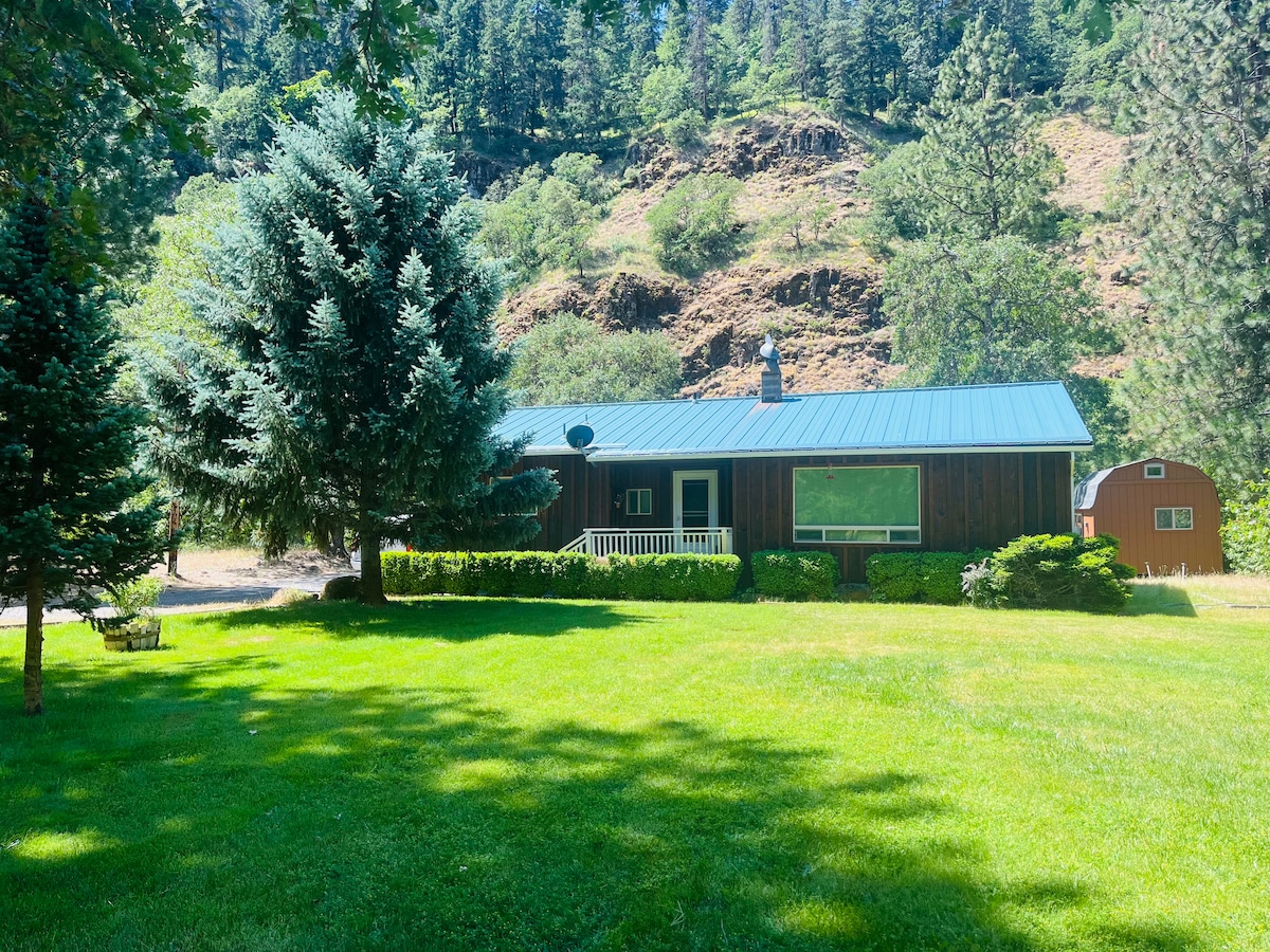 A ranch-style house is situated on a lush green lawn, framed by trees and mountain scenery. The building features a metal roof and large windows, providing ample natural light. A covered porch adds to the inviting entrance, with a wooden shed visible in the background.