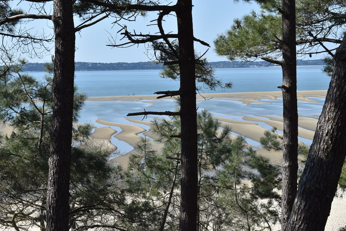 Tall trees frame a serene view of the water, where gentle waves create patterns on the sand. The landscape features both sandy and wet areas, with distant hills visible beyond the shoreline, enhancing the tranquil natural setting.
