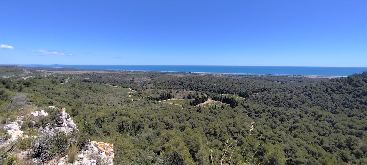 A panoramic view presents a blend of lush greenery and the distant coastline. The vibrant blue sea contrasts with the dense tree cover, showcasing the natural landscape of the Parc Naturel Régional de la Narbonnaise. Clear sky above enhances the serene atmosphere.