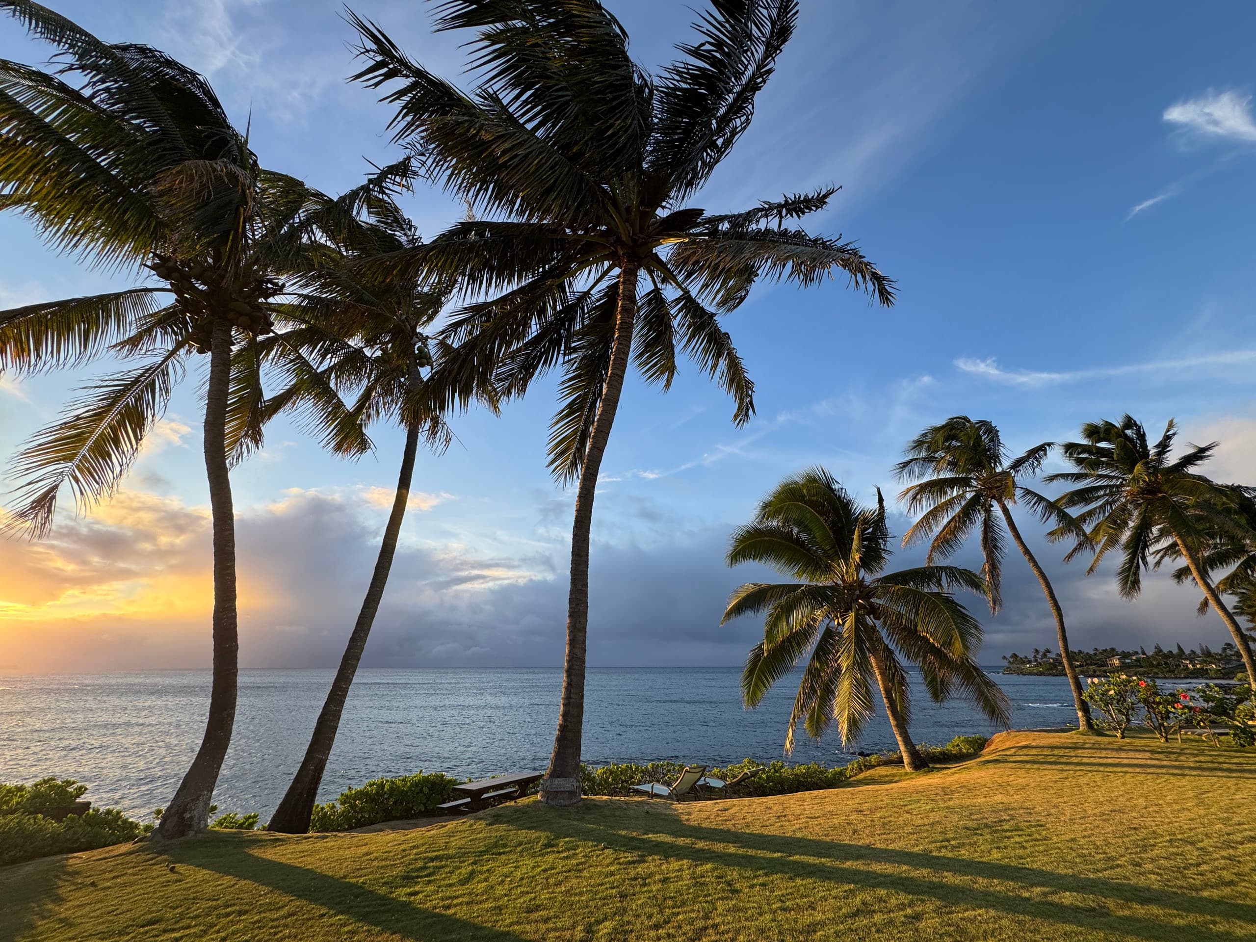 Guesthouse in Paia · ★4.93 · 1 bedroom · 1 bed · 1 bath - Photo 27