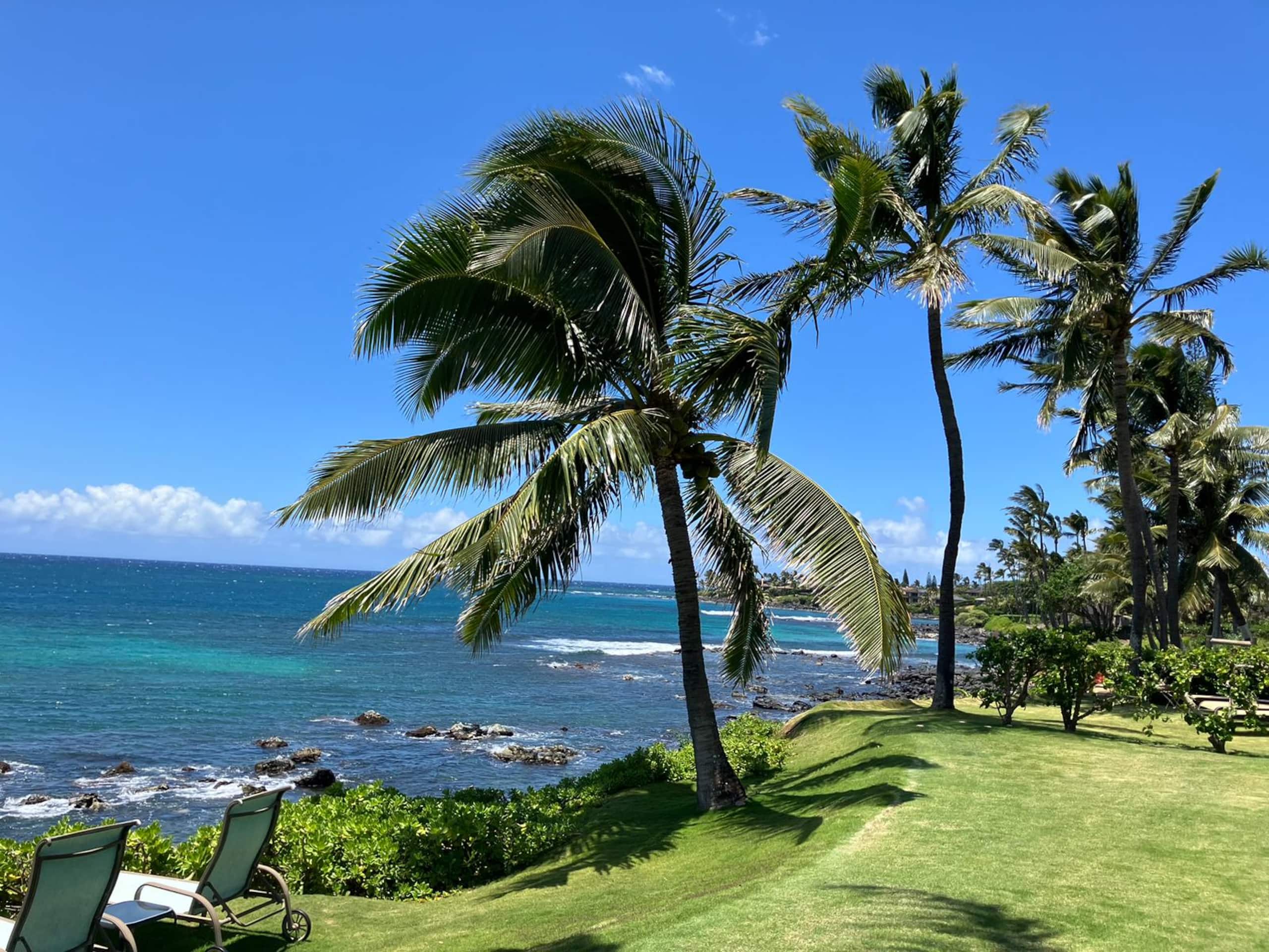 Guesthouse in Paia · ★4.93 · 1 bedroom · 1 bed · 1 bath - Photo 19