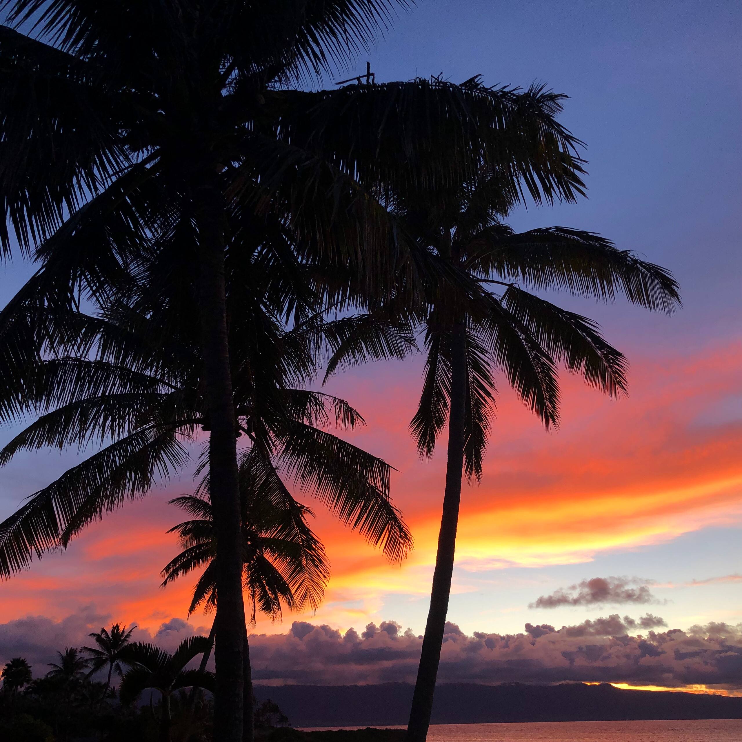 Guesthouse in Paia · ★4.93 · 1 bedroom · 1 bed · 1 bath - Photo 24