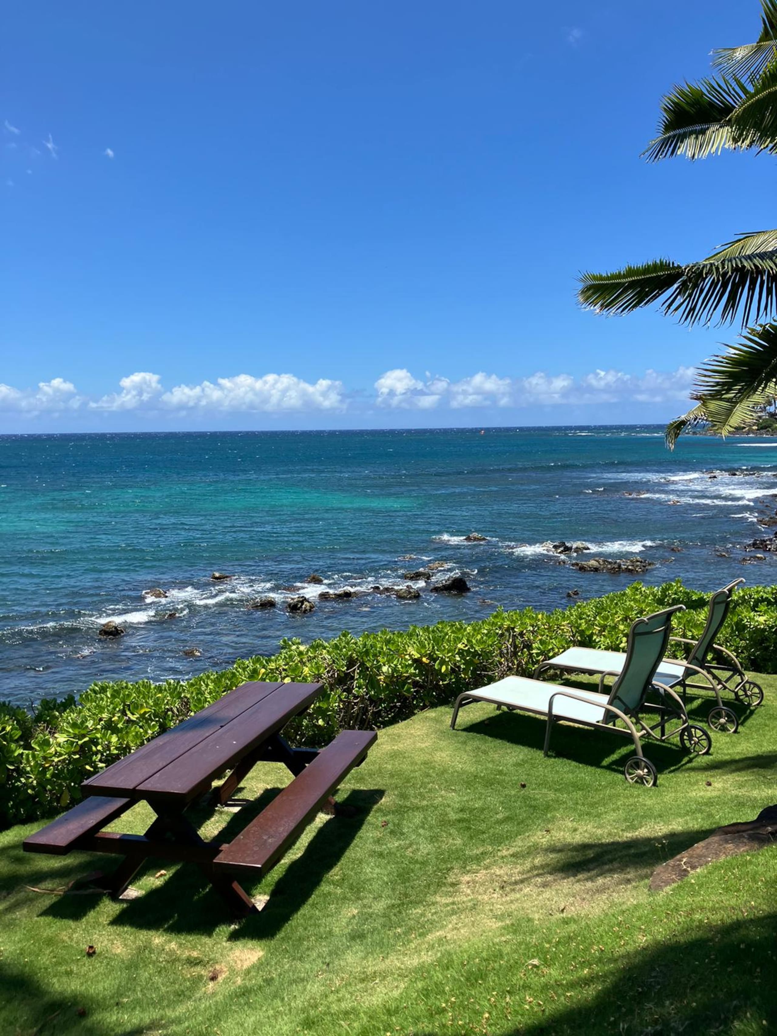 Guesthouse in Paia · ★4.93 · 1 bedroom · 1 bed · 1 bath - Photo 20