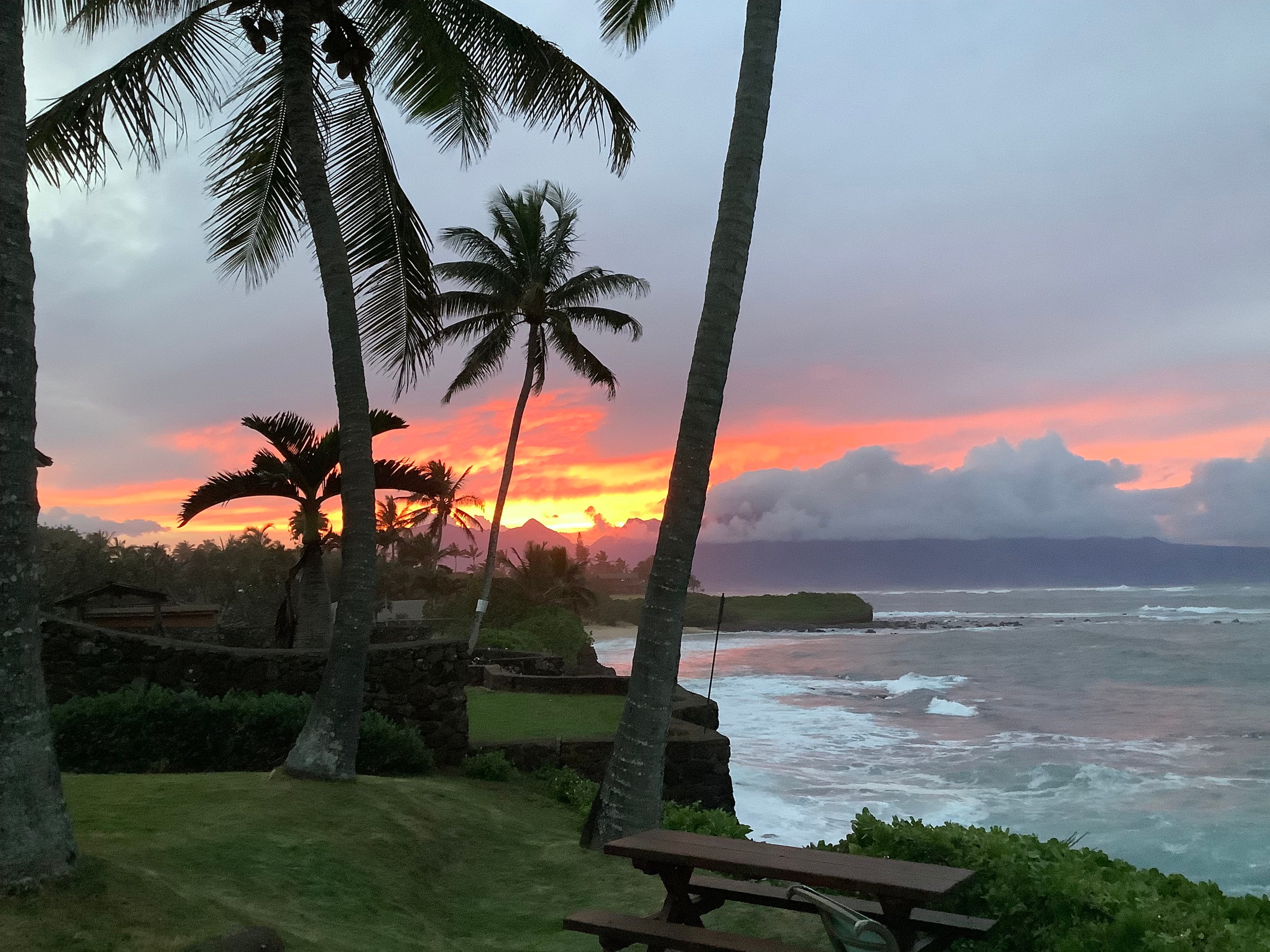 Guesthouse in Paia · ★4.93 · 1 bedroom · 1 bed · 1 bath - Photo 25