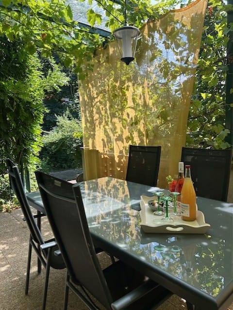 Cosy Home in South Alsace for work and leisure