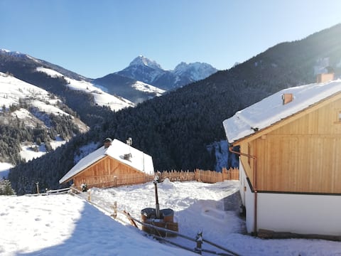 Naturchalet EinStein with natural swimming pond