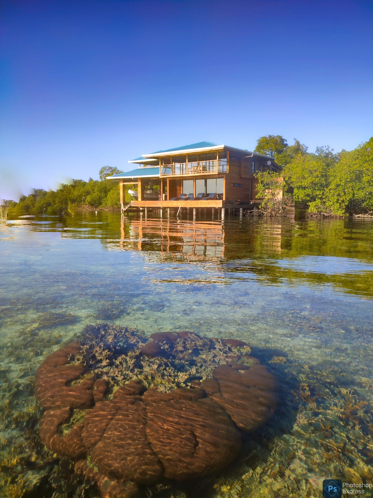 The EcoBungalow features a wooden structure elevated on stilts above crystal-clear waters, surrounded by lush greenery. A striking coral formation is visible in the shallow waters underneath, creating a vibrant contrast with the serene blue sky.