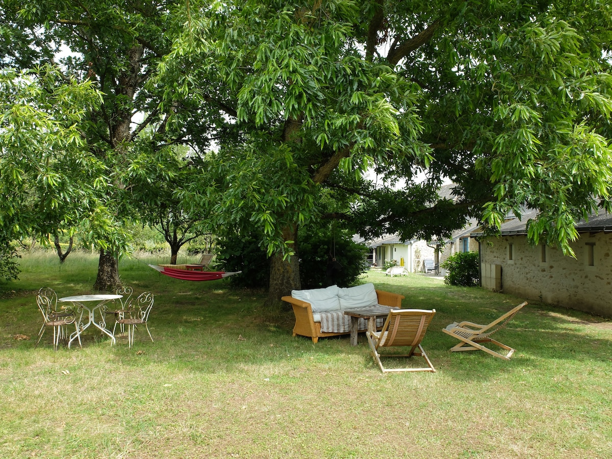 A spacious outdoor area features comfortable seating arrangements under large trees. A small table with decorative chairs and a hammock hung between the trees create a relaxing spot. Nearby, a light-colored building offers a serene backdrop to this peaceful garden setting.
