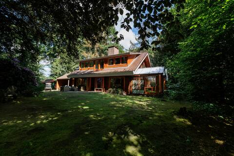 Beautiful villa with sauna uniquely located on dunes