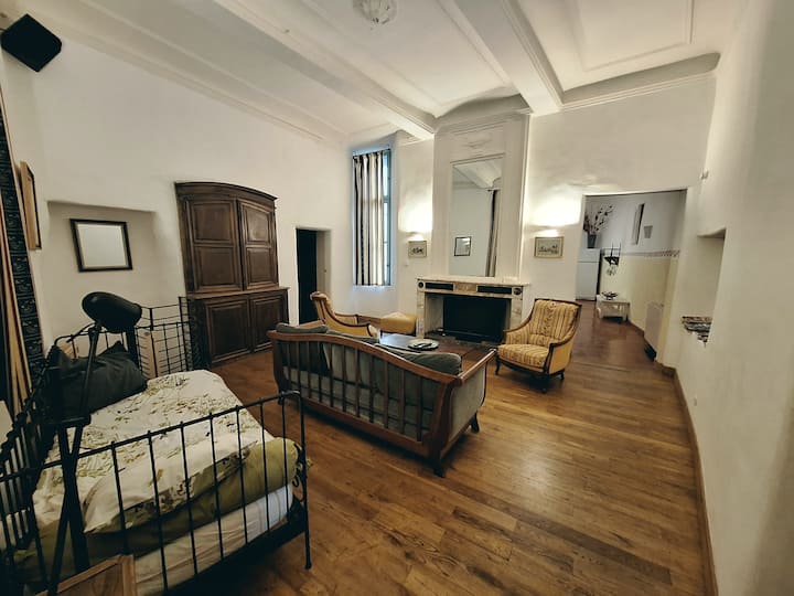 Le Logis Du Baron 140m² En Classe Histoire - Ganges
