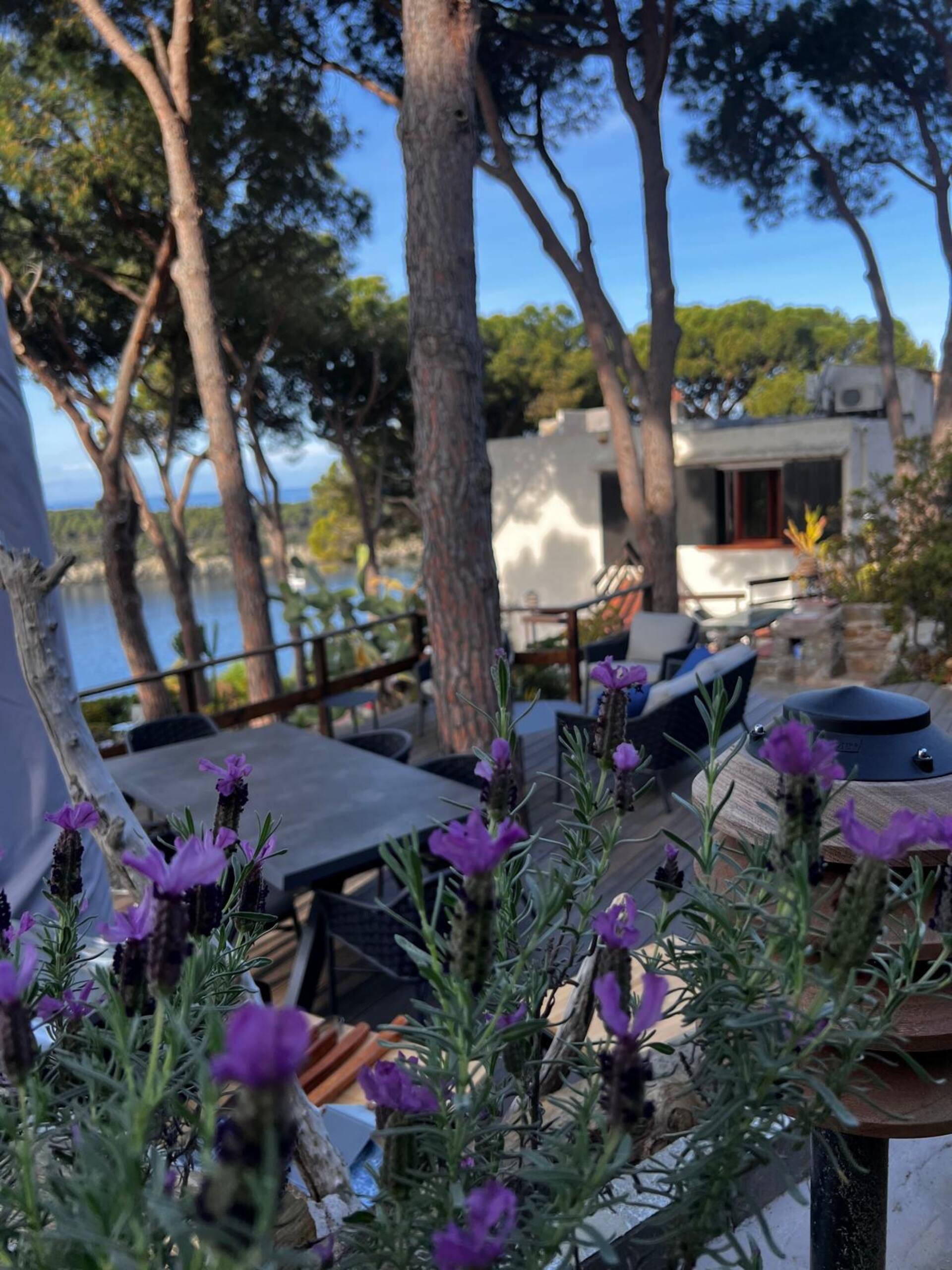 Apartment in Fetovaia with a breathtaking view
