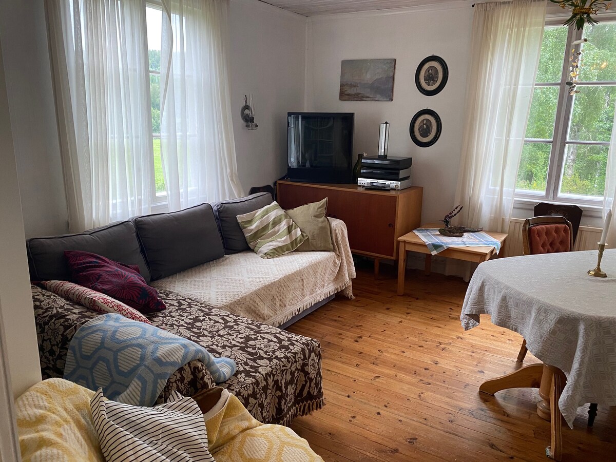 غرفة المعيشة