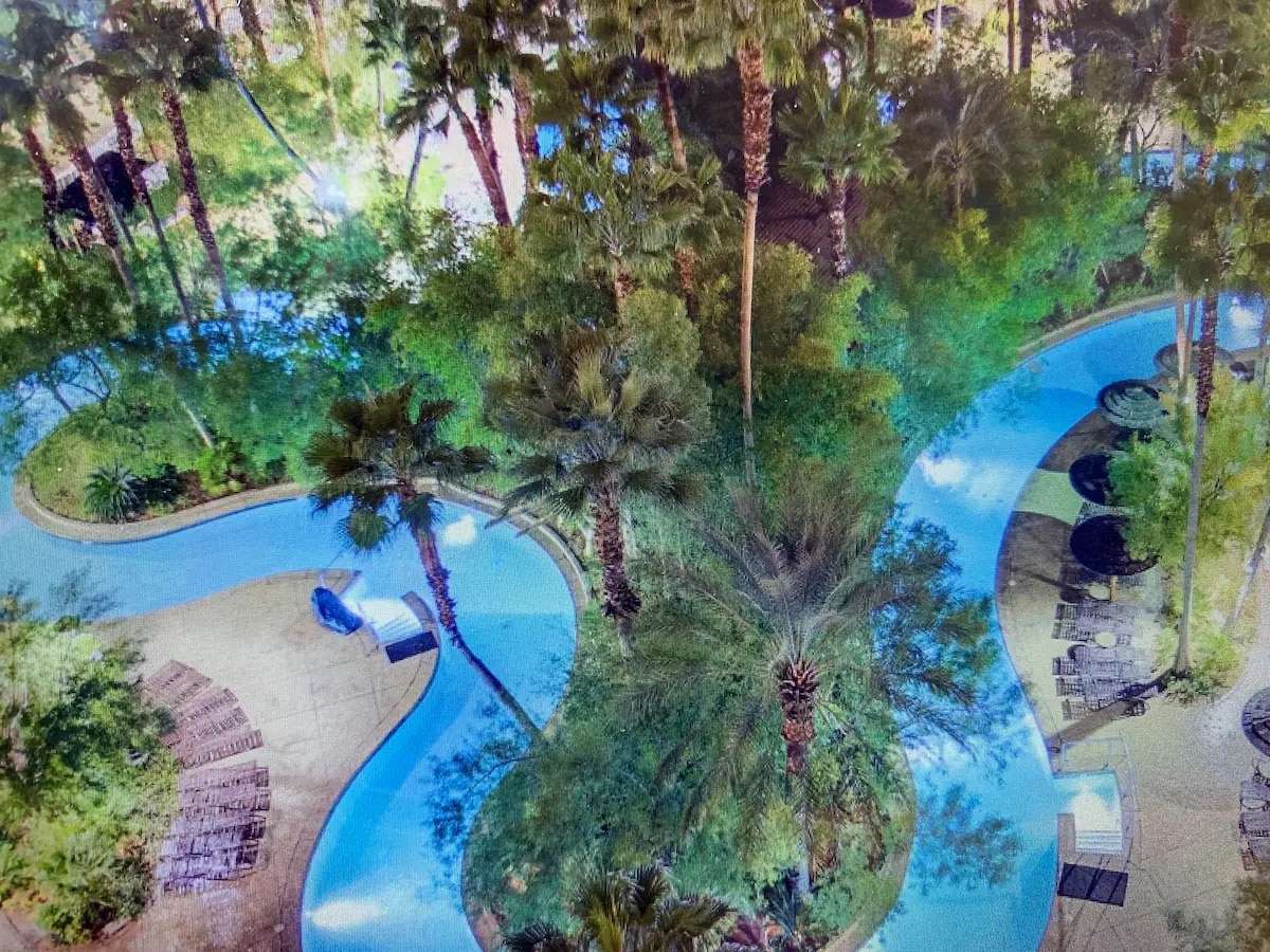 A winding lazy river is surrounded by lush greenery and palm trees, creating a tropical atmosphere. Poolside lounge chairs are positioned along the edges, providing spaces for relaxation and enjoyment.