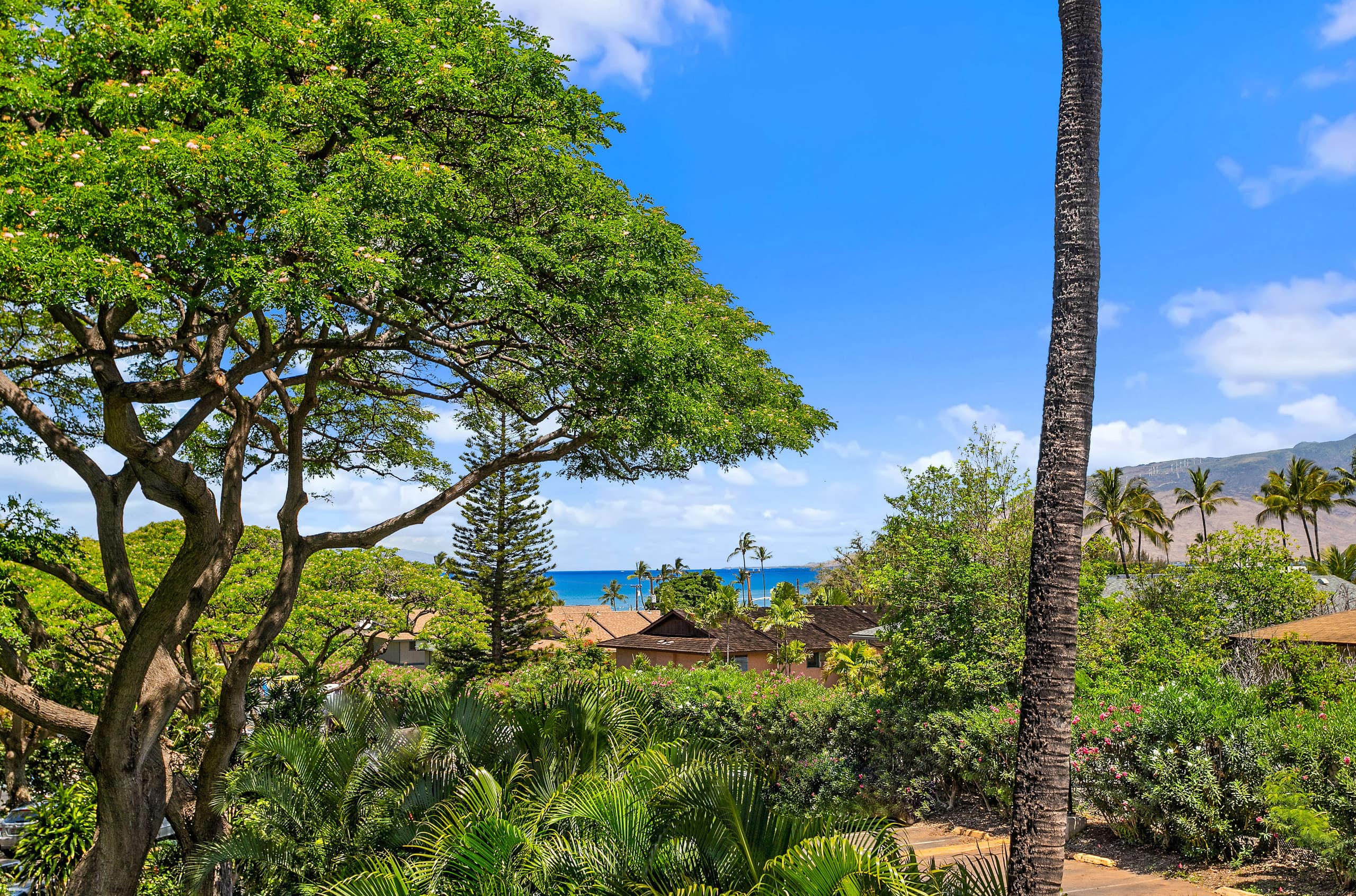 Condo in Kihei · ★4.95 · 1 bedroom · 1 bed · 1 private bath - Image 31