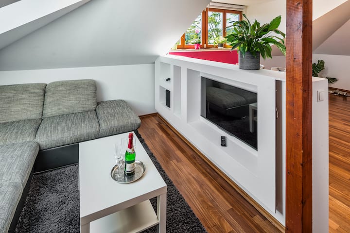 Villa Harmonie Kitchen Fireplace Whirl Bathtub Ps4 - Dresden