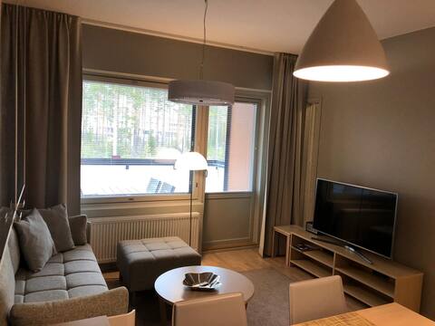 Popular Airbnb listing: Vierumäki 47m² Chalet 6, 2 bedrooms, kitchen, bathroom + shower, toilet in Ruuhijärvi