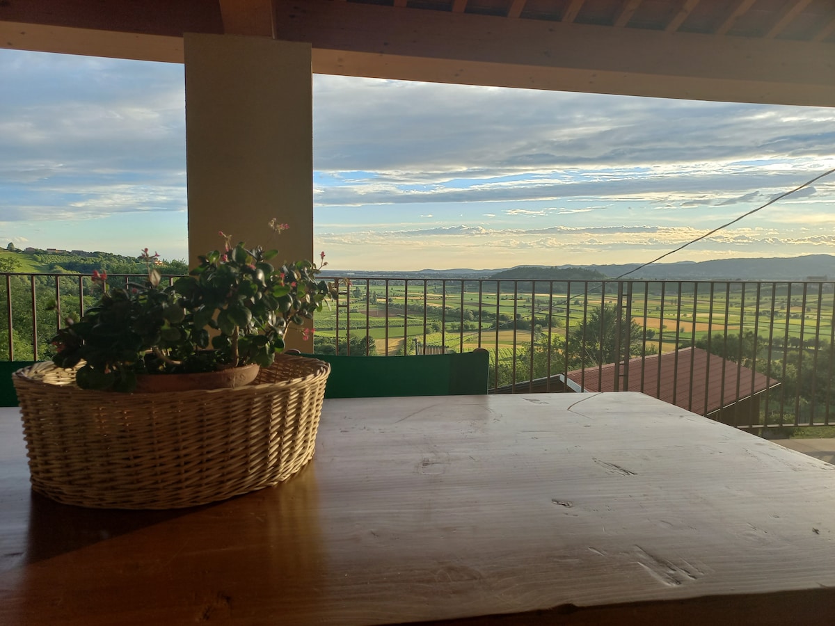 A wooden dining table is featured on a spacious terrace, adorned with a woven basket of plants. In the background, expansive views of green fields and distant hills are visible under a clear sky.