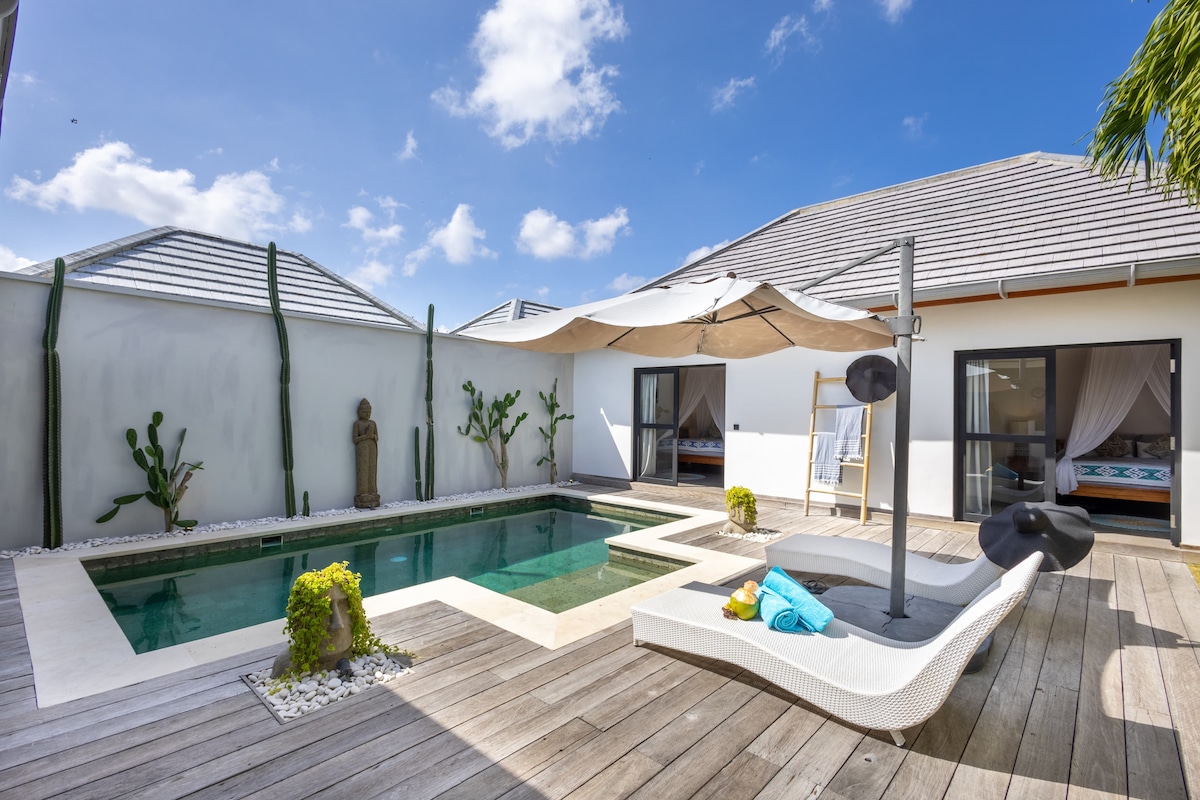 An outdoor living area showcases a private pool surrounded by wooden decking. A sunbed is positioned beside the pool, accompanied by decorative cushions. Cactus plants add greenery, while a shaded area with a neutral-toned canopy provides a comfortable space for relaxation.
