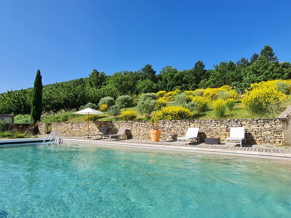 A spacious pool area is featured, surrounded by lush greenery and colorful wildflowers. Sun loungers line the wooden deck, offering comfortable relaxation spots. An umbrella provides shaded seating, while a stone wall adds a rustic touch to the serene outdoor setting.