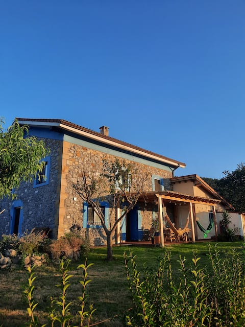 Blueberria Guesthouse -Full house