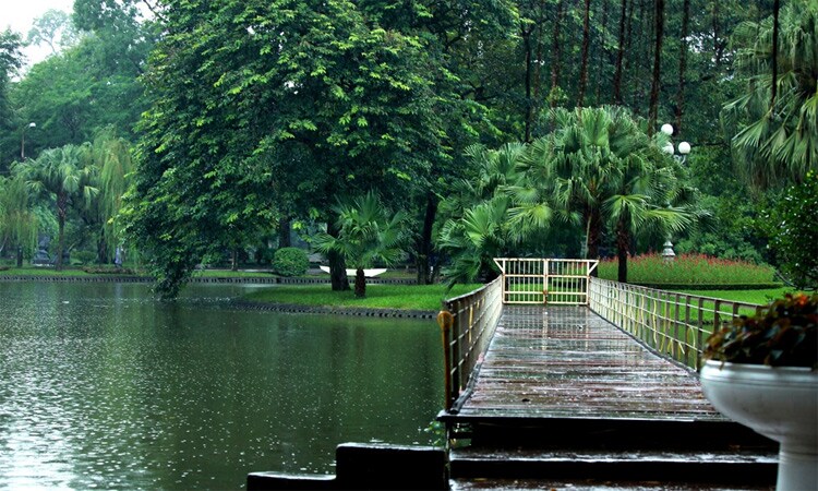 A calm pathway extends over a reflective body of water, bordered by lush greenery and tall trees. Raindrops create ripples on the surface, enhancing the serene atmosphere. Soft light filters through the foliage, casting gentle shadows on the walkway.