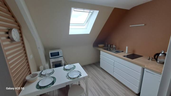 Appartement Pour 2 Personnes, Proche Zoo Beauval - Montrichard