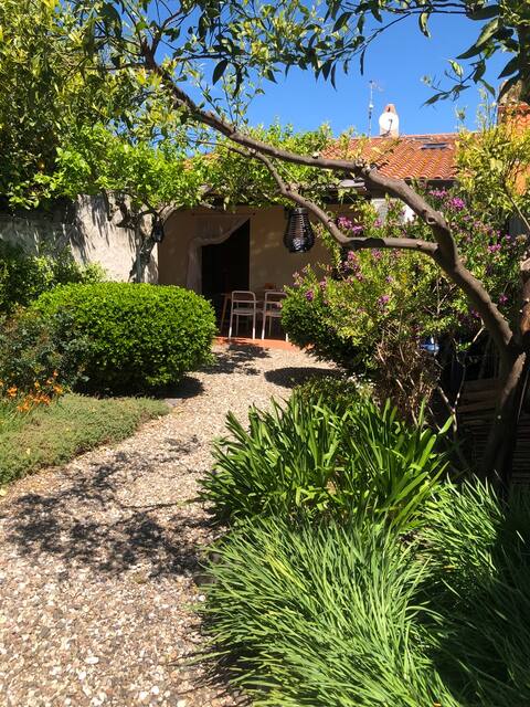 Charming house, luxurious garden, free WiFi