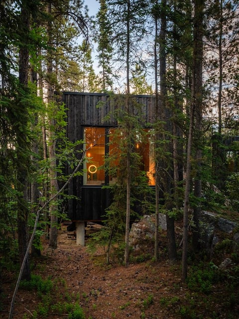 Black Spruce - Green Door - Landscape Hotel!